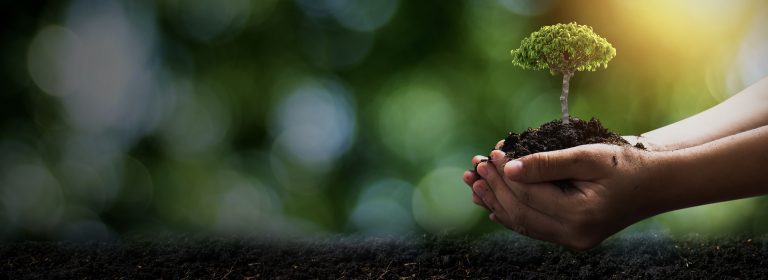 Sustainable Print by Hatteras: Eco-Friendly Solutions